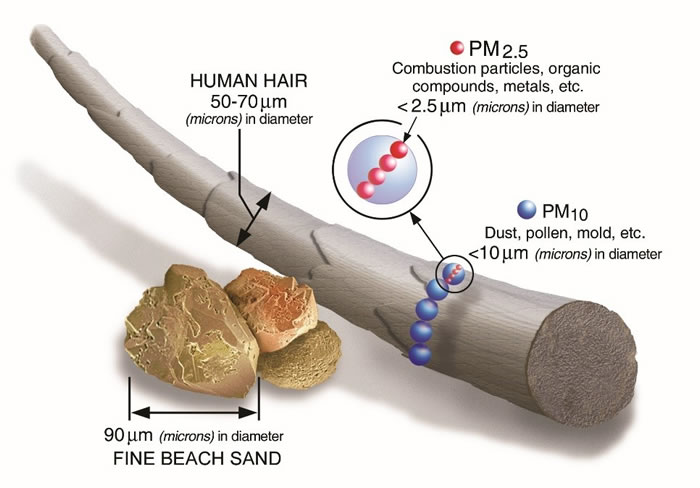 size of a particle of wildfire smoke