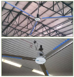 hvls fans