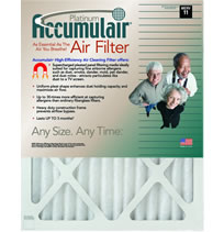Accumulair Platinum 2 Inch Filters - MERV 11